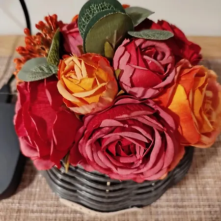 18th & 16h Floor Secure Luxury With Pool & Fitness Included In Price Skopie