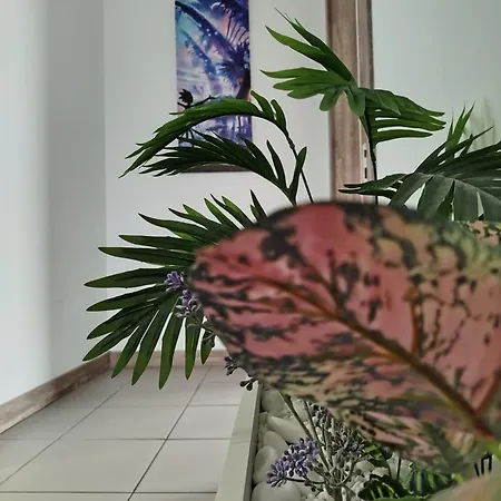 18th & 16h Floor Secure Luxury With Pool & Fitness Included In Price